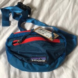 Patagonia mini fanny pack